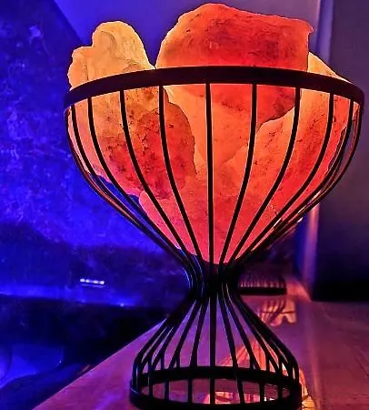 Palac Fabrykanta Bed & Breakfast