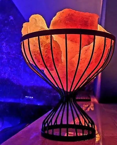 Palac Fabrykanta Bed & Breakfast